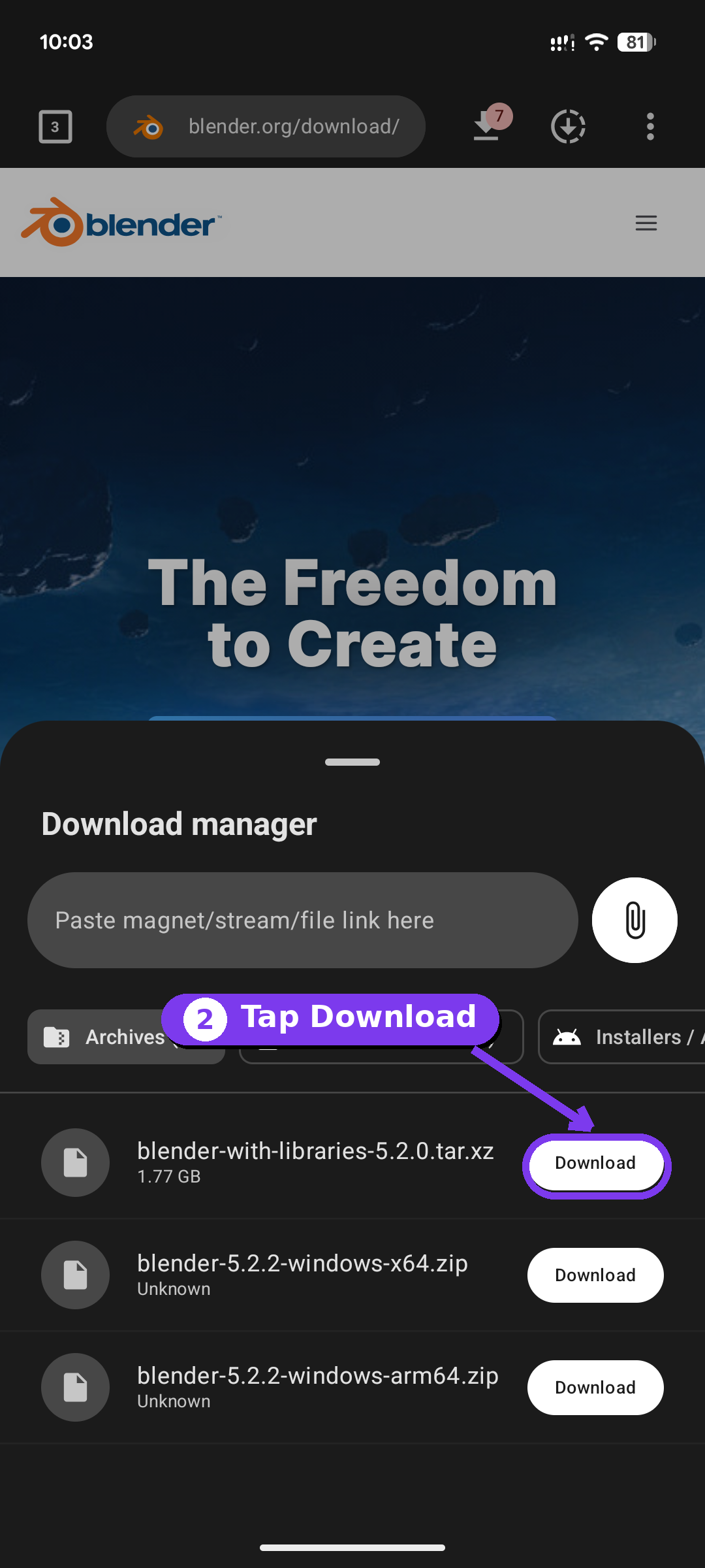 Download manager listing detected files grouped into categories